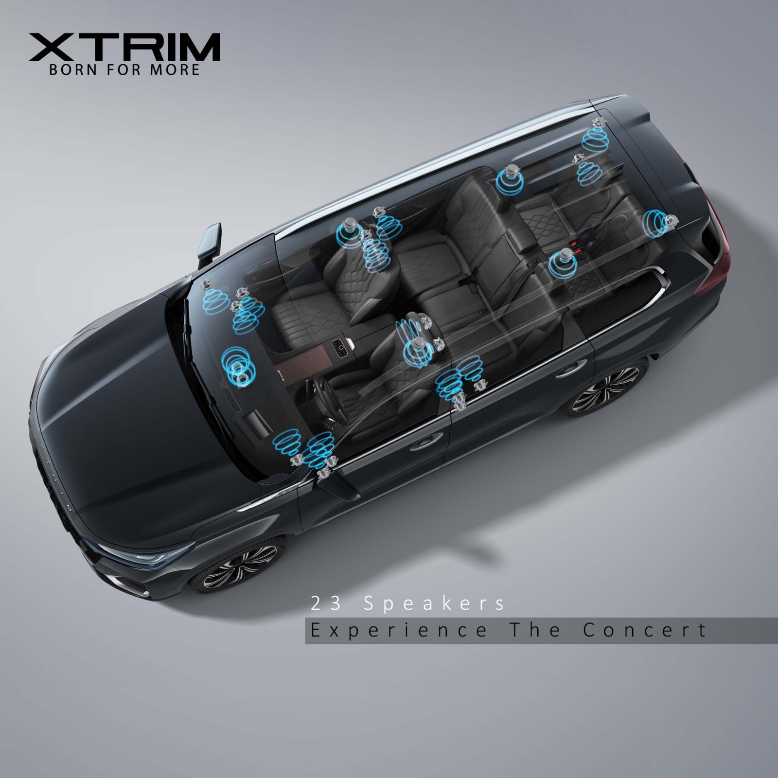 Xtrim VX