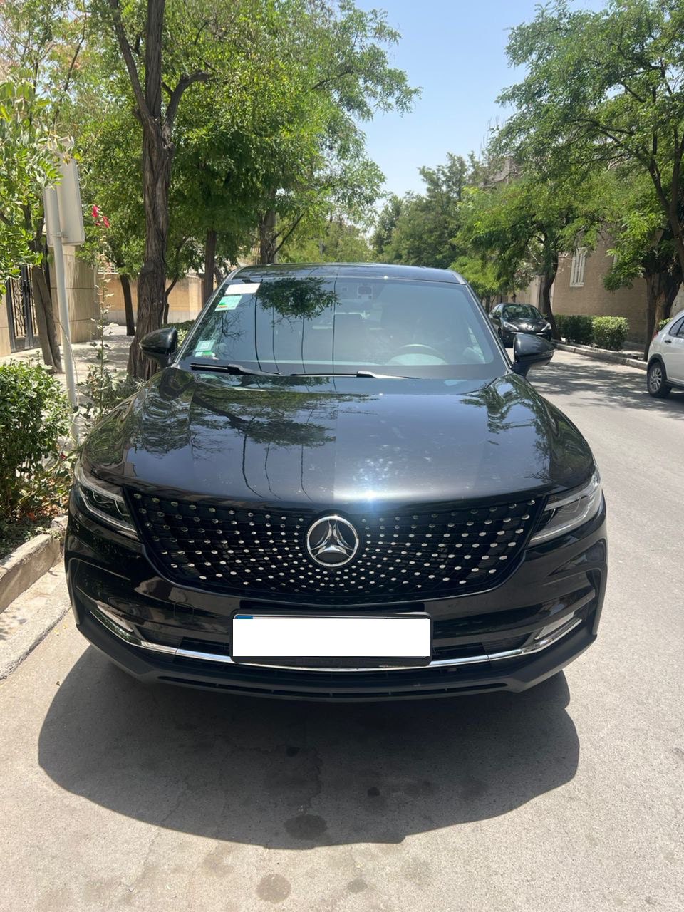 دیگنیتی